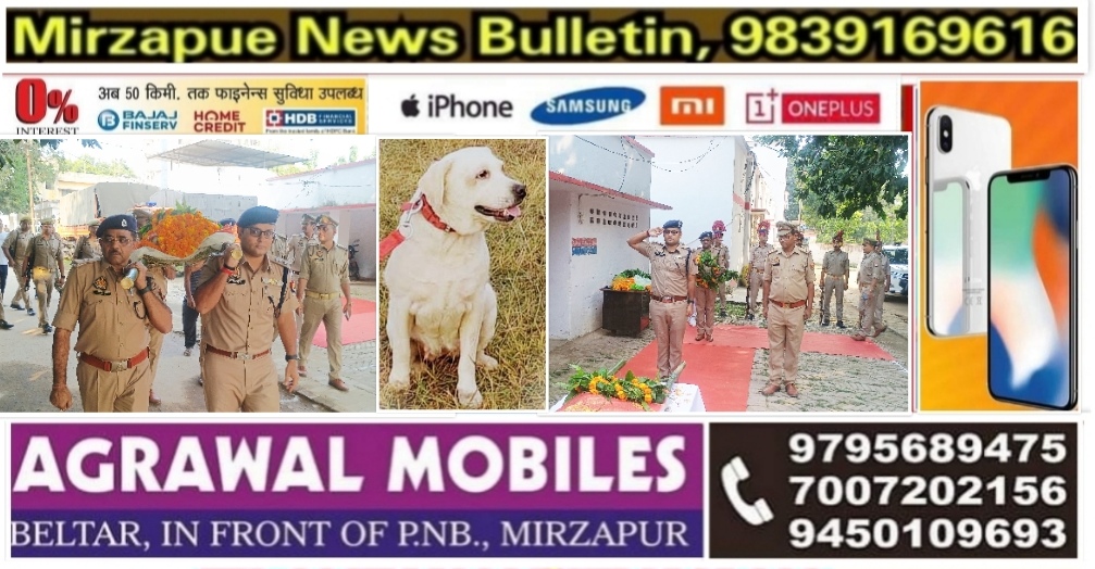 मिर्ज़ापुर पुलिस का वफादार लेब्राडोर ब्रीड का लम्बी बीमारी के बाद निधन राजकीय सम्मान के साथ निकली अंतिम यात्रा