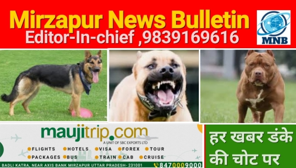 Mirzapur News Bulletin
