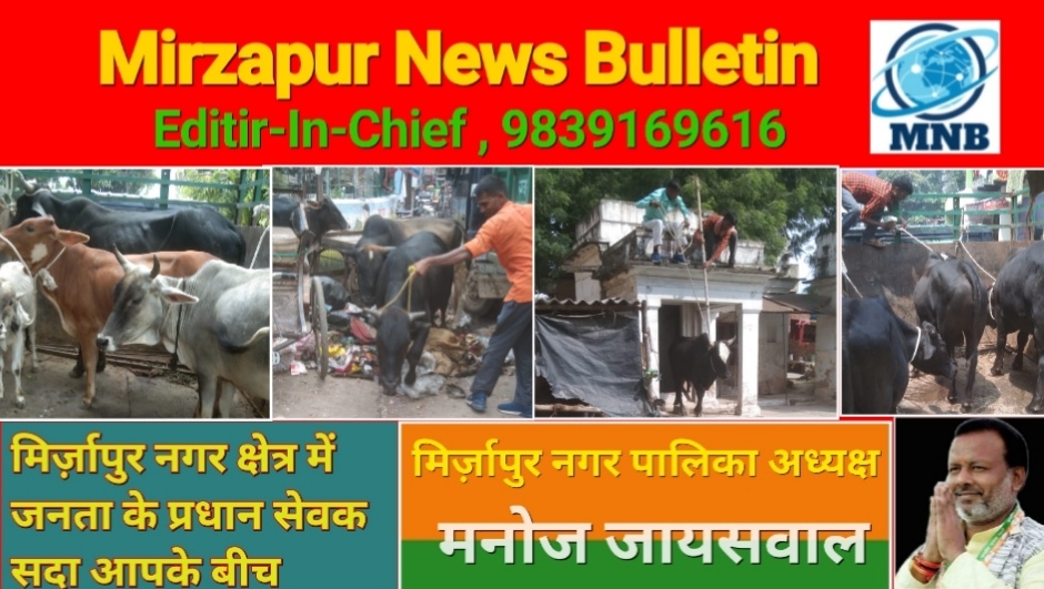 Mirzapur News Bulletin
