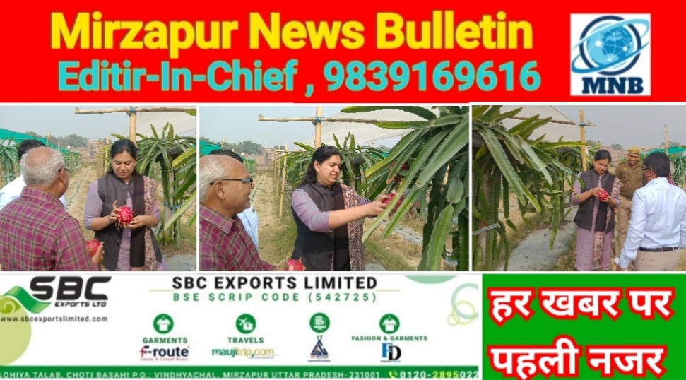 मिर्ज़ापुर जिलाधिकारी ने ग्राम नुआंव में ड्रैगन फ्रूट का किया गया निरीक्षण किसानों की आय हुई दुगनी