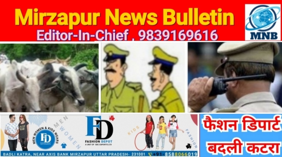 मिर्ज़ापुर अहरौरा पुलिस ने पिकअप पर लादकर ले जा रहे सात गोवंश बरामद किया