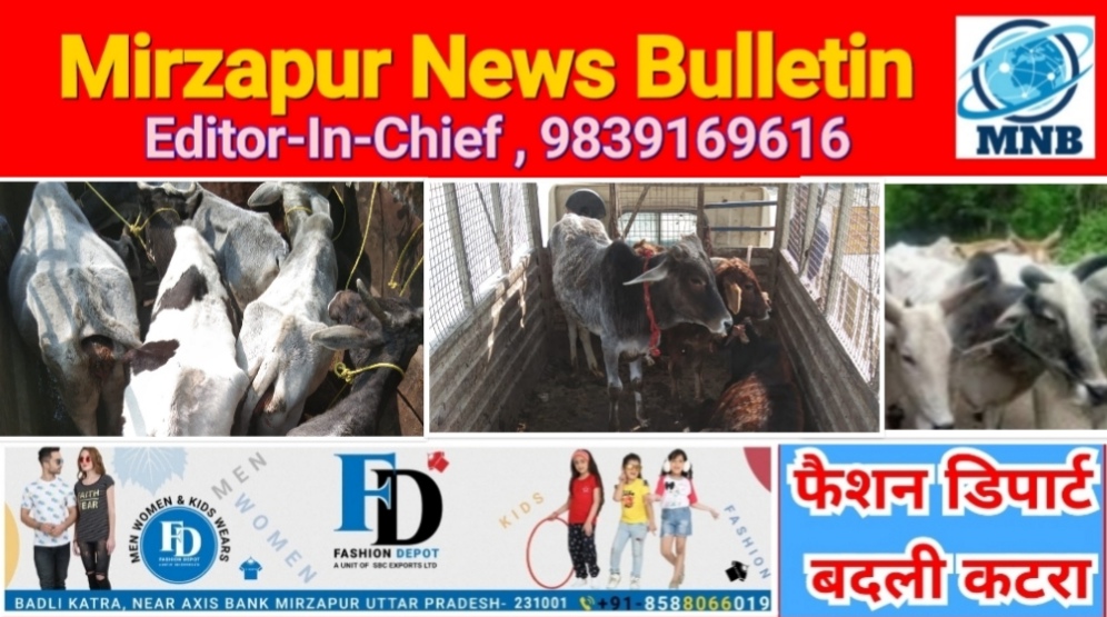 Mirzapur News Bulletin