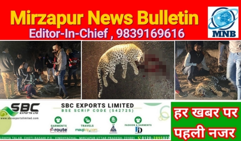 सोनभद्र मारकुड़ी घाटी मे ट्रक के धक्के से तेंदुए की मौत सेल्फी लेने वालो का लगा जमावड़ा