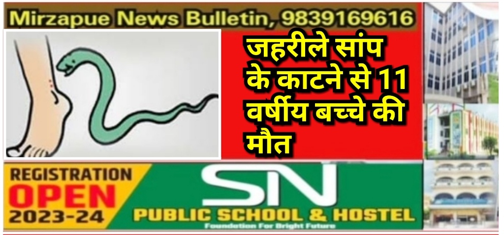 मिर्जापुर राजगढ़ क्षेत्र में कमरे से सामान निकाल रहे बच्चे की सांप के डंसने से हुई मौत