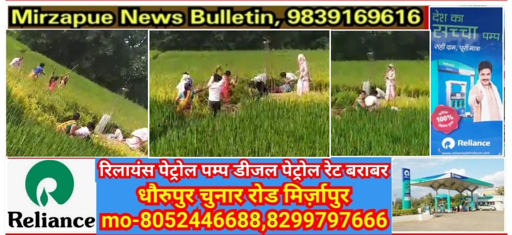 मिर्जापुर हलिया क्षेत्र में जमीन विवाद में दो पक्षो में जमकर मारपीट में चले लाठी डंडे