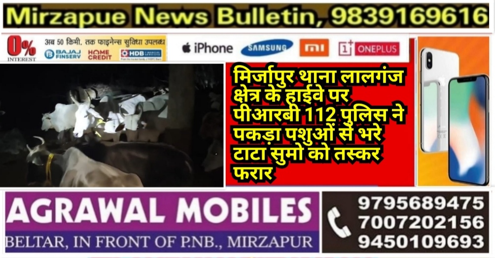 मिर्जापुर थाना लालगंज क्षेत्र के हाईवे पर पीआरबी 112 पुलिस ने पकड़ा पशुओं से भरे टाटा सुमो को तस्कर फरार