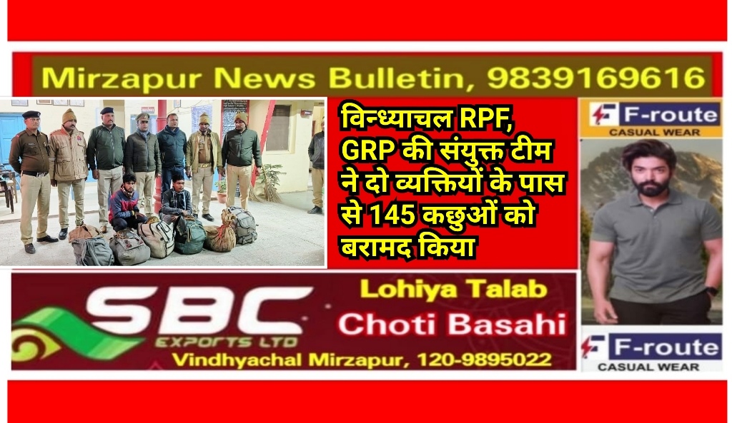 मिर्ज़ापुर विन्ध्याचल RPF, GRP की संयुक्त टीम ने दो व्यक्तियों के पास से 145 कछुओं को बरामद किया