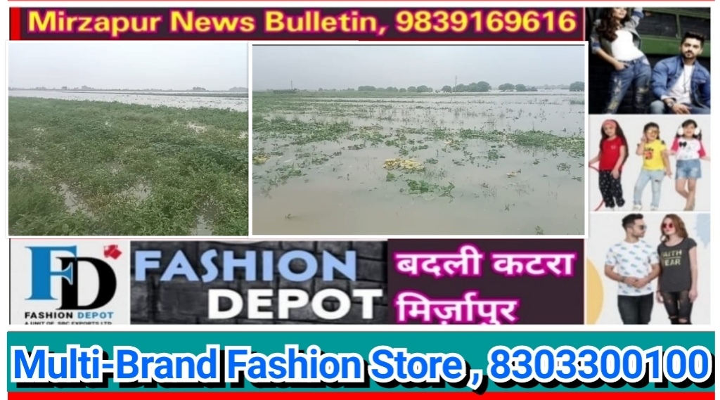 मिर्जापुर में गंगानदी दिखा रही अपना रौद्र रूप तटवर्तीय क्षेत्र में कई बीघा फसल हुई जलमग्न