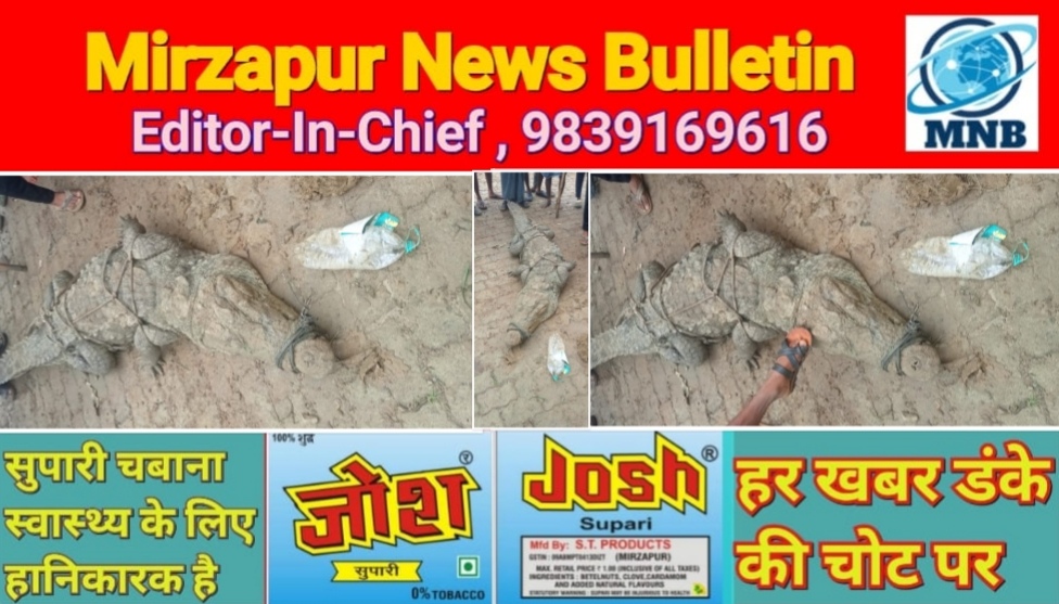 Mirzapur News Bulletin