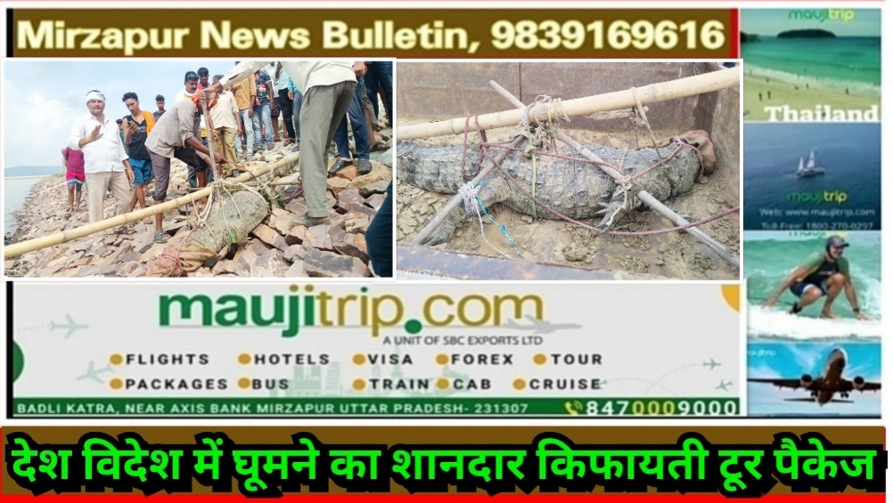 Mirzapur News Bulletin