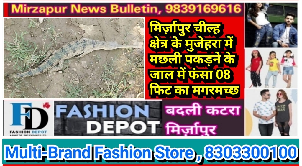 Mirzapur News Bulletin