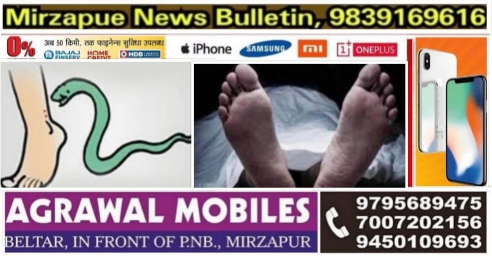 मिर्ज़ापुर जिगना क्षेत्र में बेड पर सो रहे युवक को दो बार सांप के डंसा युवक की मौत