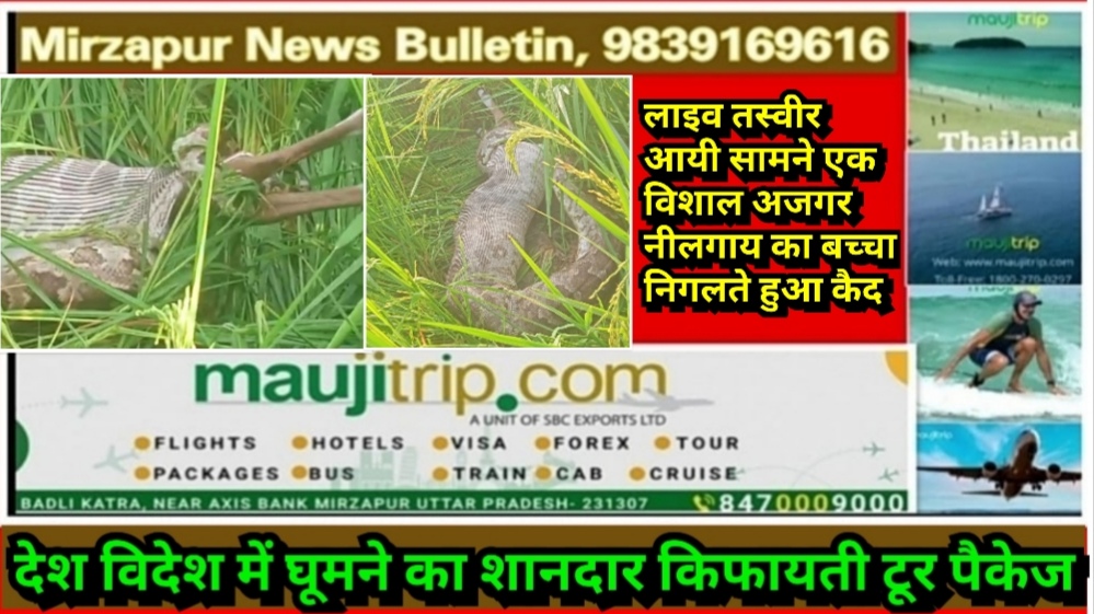 Mirzapur News Bulletin