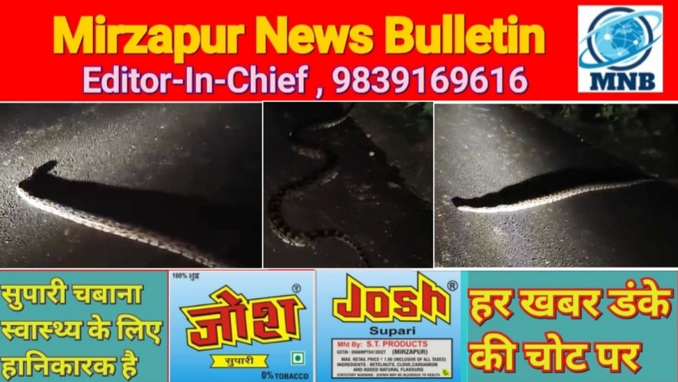 Mirzapur News Bulletin
