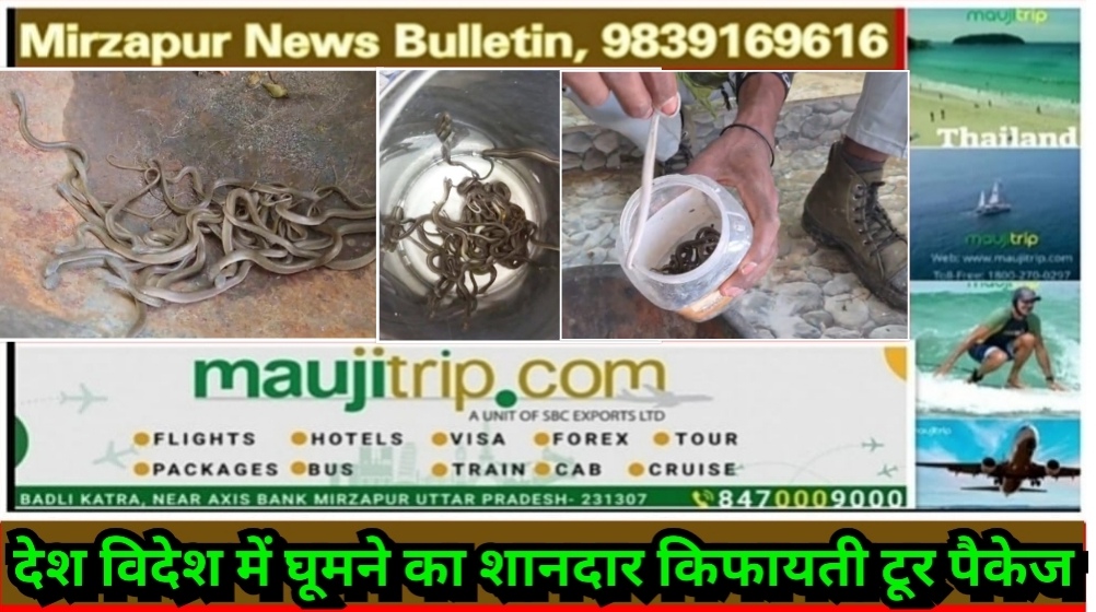मिर्ज़ापुर थाना देहात कोतवाली क्षेत्र के लोहदी खुर्द गांव के एक मकान से एक-एक कर निकले पचासों सांप