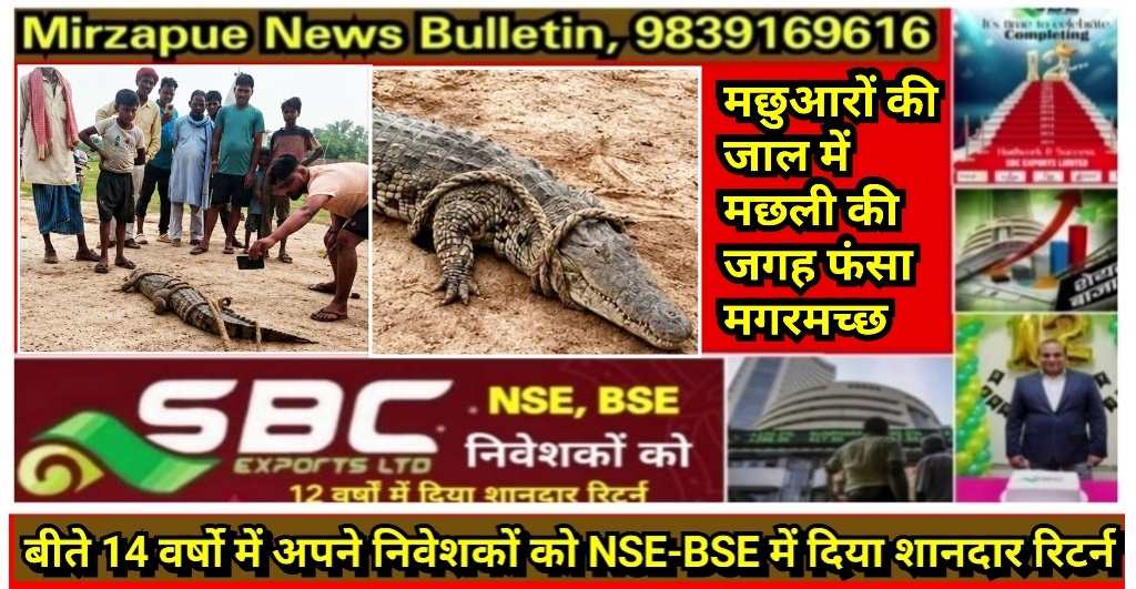 मिर्ज़ापुर थाना राजगढ़ क्षेत्र के एक गांव में एक निजी तालाब में मछली पकड़ने गए मछुआरों के जाल में मगरमच्छ फंसने से मची अफरातफरी