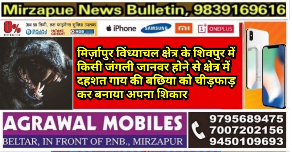 Mirzapur News Bulletin