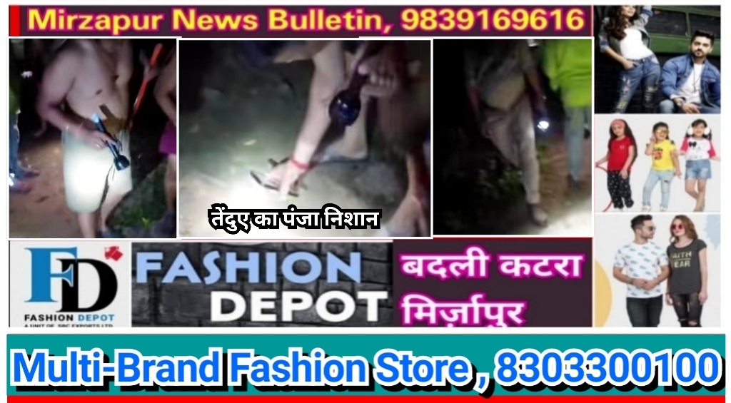 मिर्ज़ापुर विंध्याचल क्षेत्र के अष्टभुजा पहाड़ पर तेंदुओं का एक जोड़ा देखे जाने से लोगो मे दहशत कई जानवर को बना चुके है शिकार