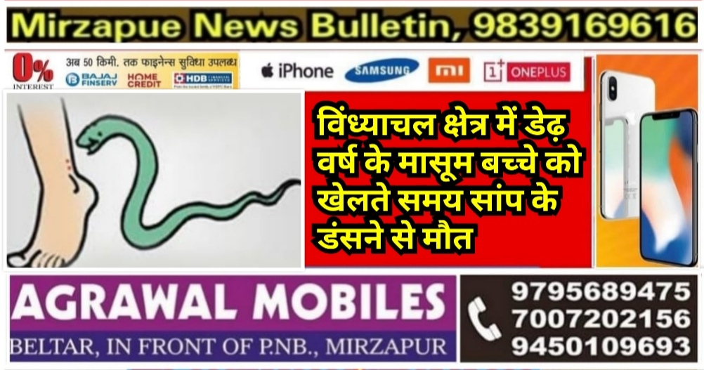मिर्ज़ापुर विंध्याचल क्षेत्र के एक गांव में डेढ़ वर्षीय मासूम बच्चे को जहरीले सांप के डंसने से मौत