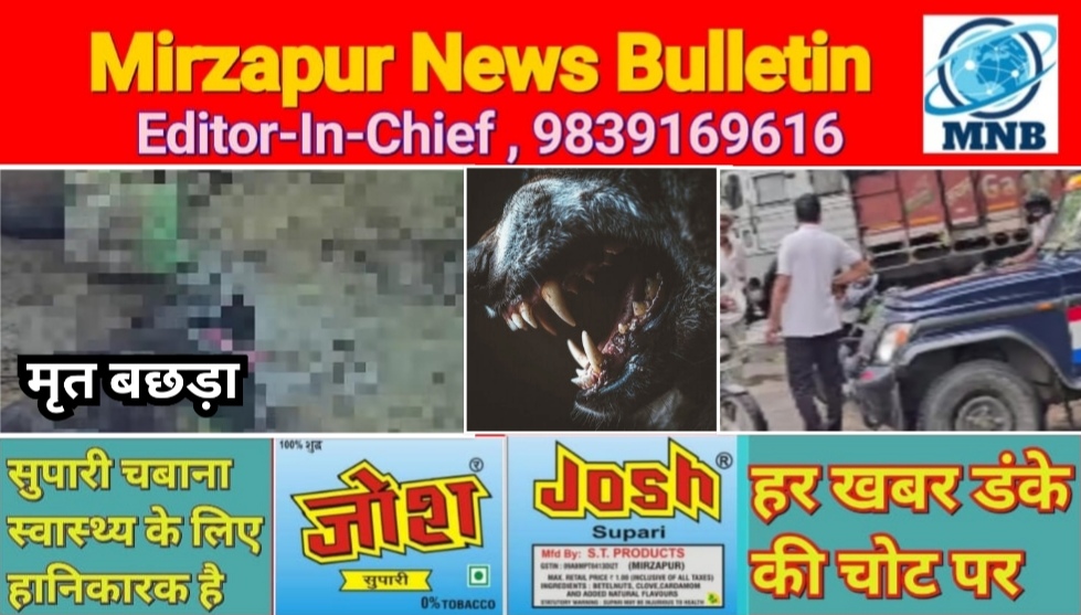 मिर्ज़ापुर कछवा क्षेत्र के मझवा प्रेमकापूरा गांव में जंगली जानवर ने एक गाय के बछड़े को बनाया शिकार क्षेत्र में दहशत