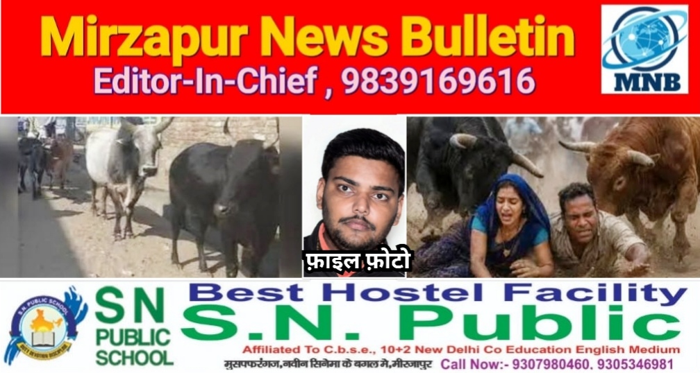 भदोही में दर्दनाक हादसा छुट्टा सांड के हमले से माँ बेटे दोनो की दर्दनाक मौत बाइक से मार्केट समान लेने जा रहे थे