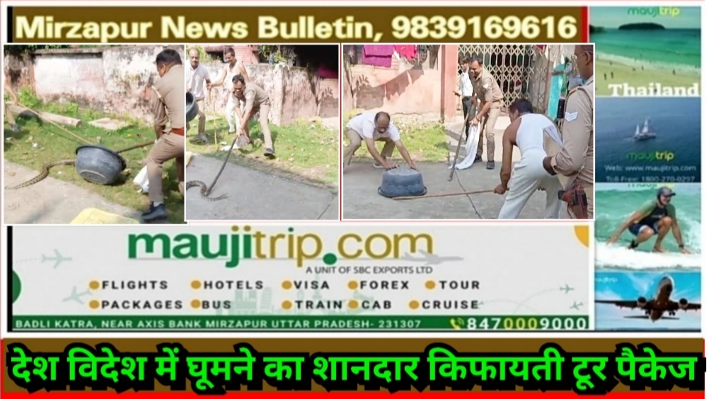 मिर्ज़ापुर मंडलीय अस्पताल के स्टोर रूम में 7 फिट लम्बा अजगर दिखने से मचा हड़कम्प वन विभाग ने रेस्क्यू कर पकड़ा