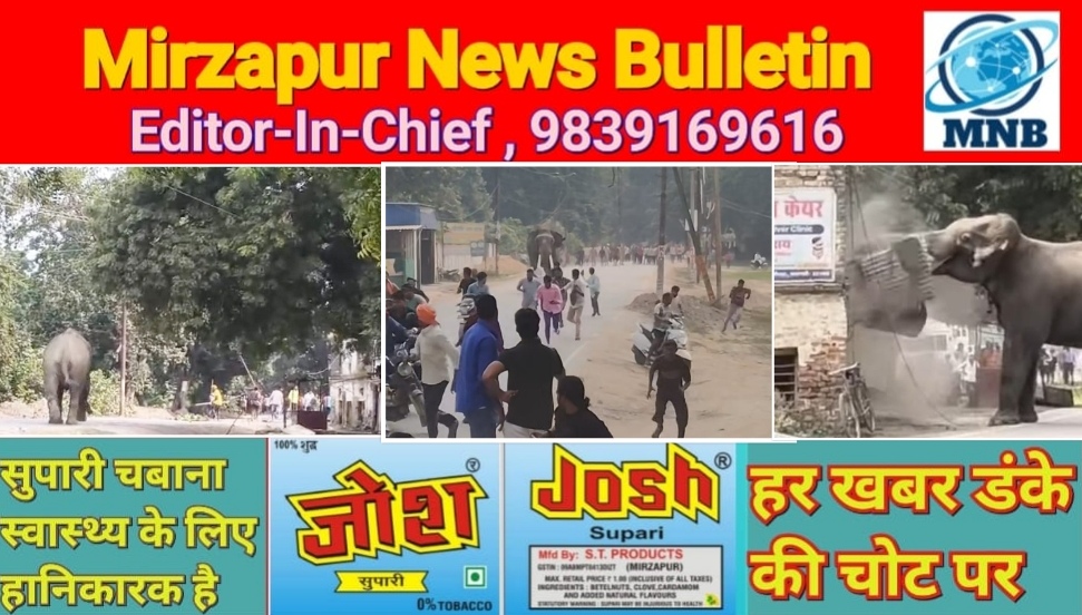 वाराणसी रामनगर के रामलीला में आया हाथी पागल हो गया महावत को जख्मी कर क्षेत्र में कल से जमकर मचा रहा उपद्रव