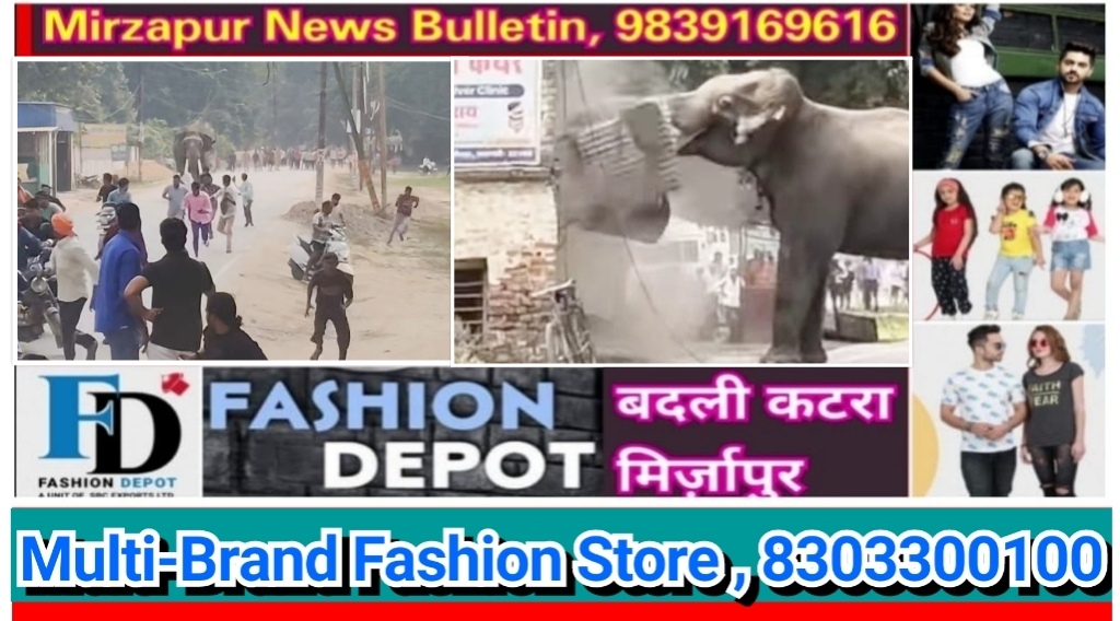 वाराणसी रामनगर में पागल हाथी को गोरखपुर से आयी डॉक्टरों की टीम ने तीन इंजेक्शन लगाने के बाद पाया काबू