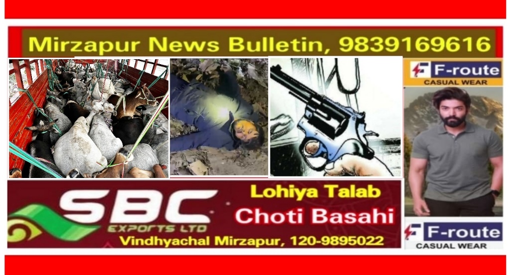 मिर्ज़ापुर अदलहाट क्षेत्र में पुलिस मुठभेड़ में गो-तस्कर घायल 37 मवेशी बरामद
